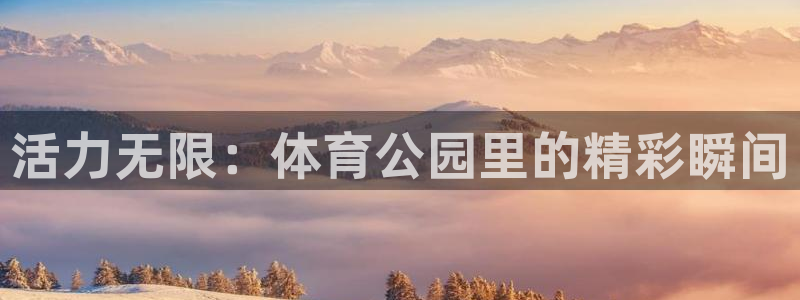 哈哈体育十年