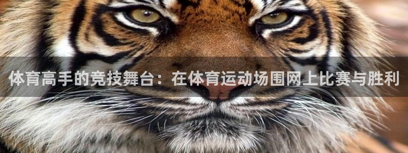 哈哈体育