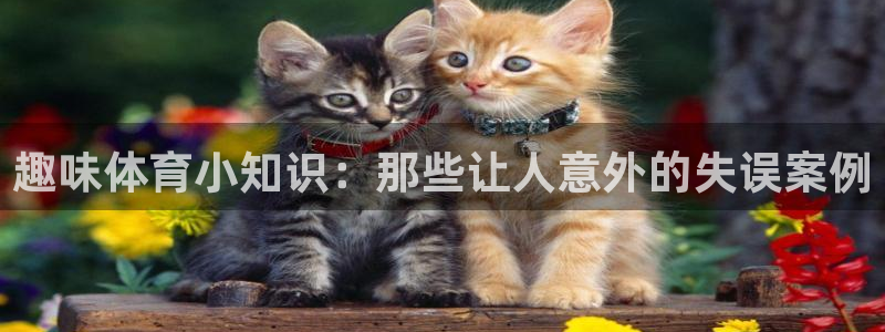 哈哈体育下载
