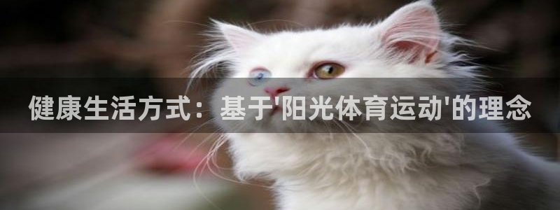 哈哈体育