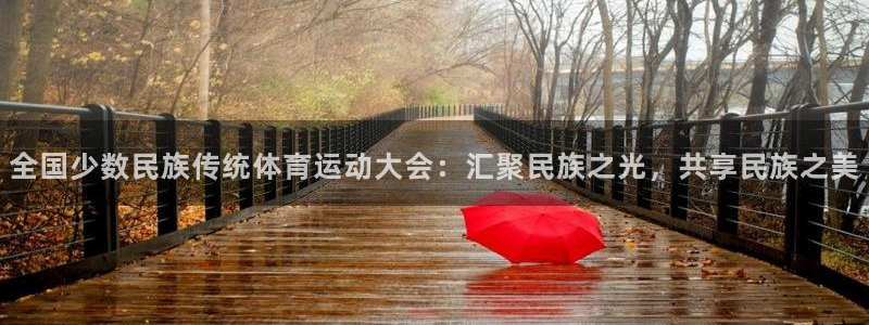 哈哈体育十年