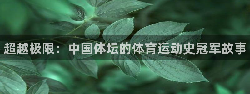 哈哈体育