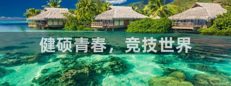 哈哈体育