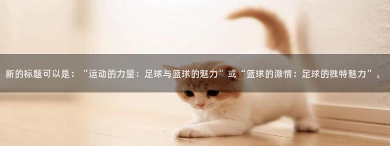 哈哈体育下载
