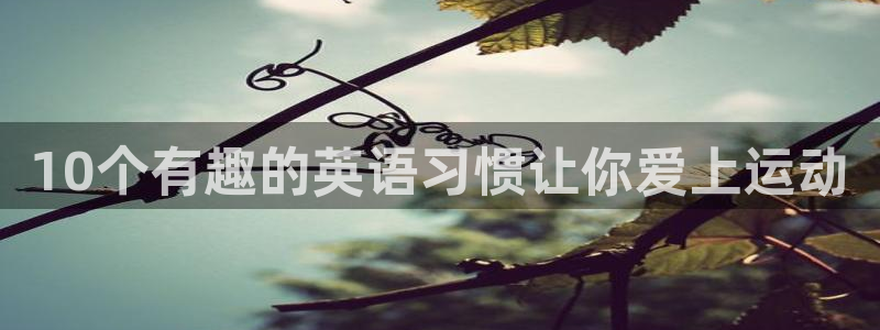 哈哈体育十年
