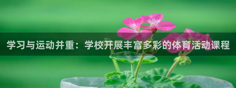 哈哈体育下载