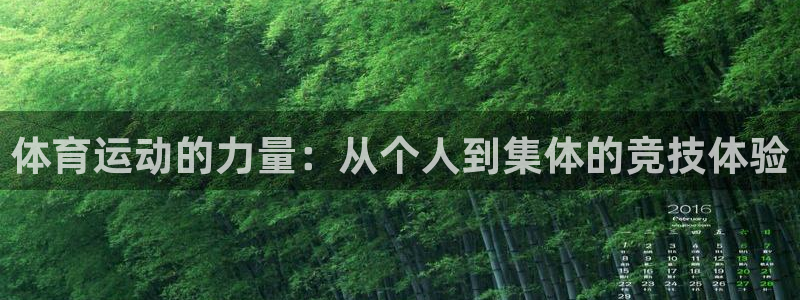 哈哈体育下载