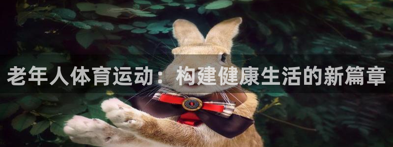 哈哈体育下载