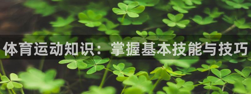 哈哈体育下载