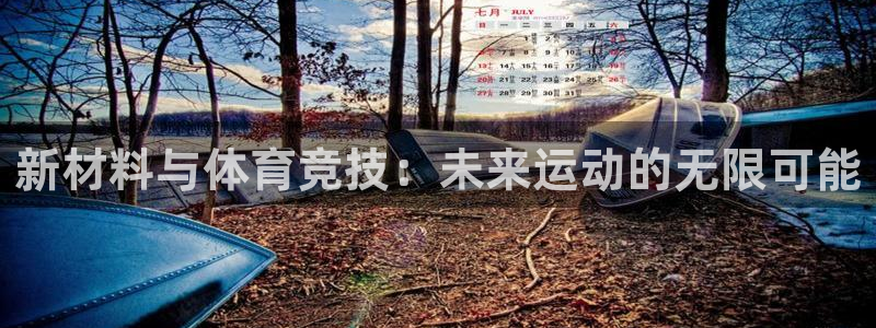 哈哈体育十年