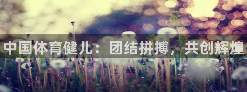 哈哈体育十年