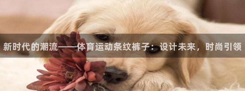 哈哈体育
