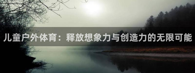 哈哈体育十年