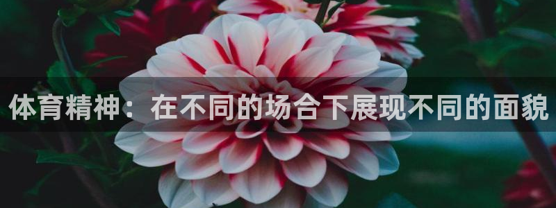 哈哈体育